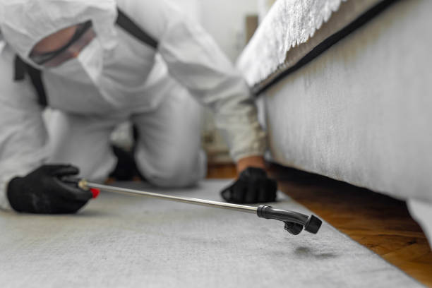 Professional Bed Bug Control technician working in Bagley, MN